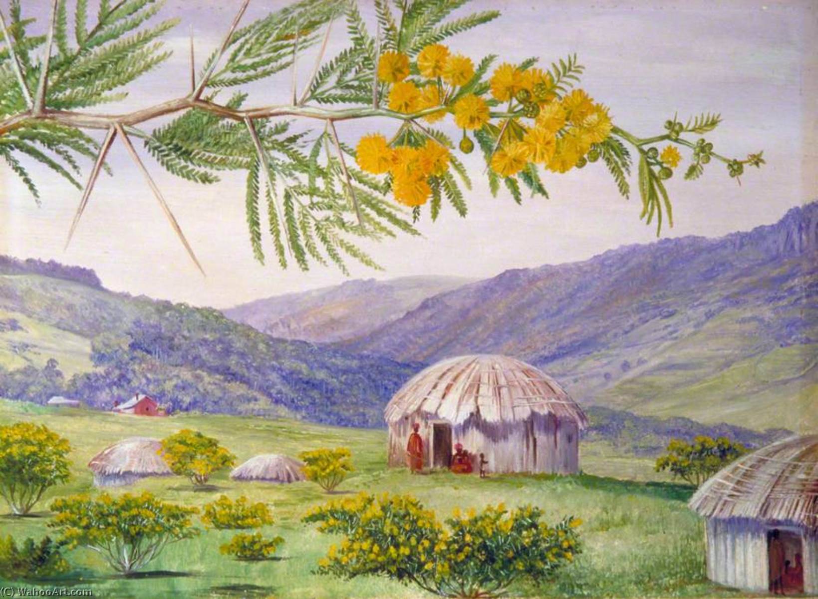 The South African Doornboom And Fingo Huts — Marianne North