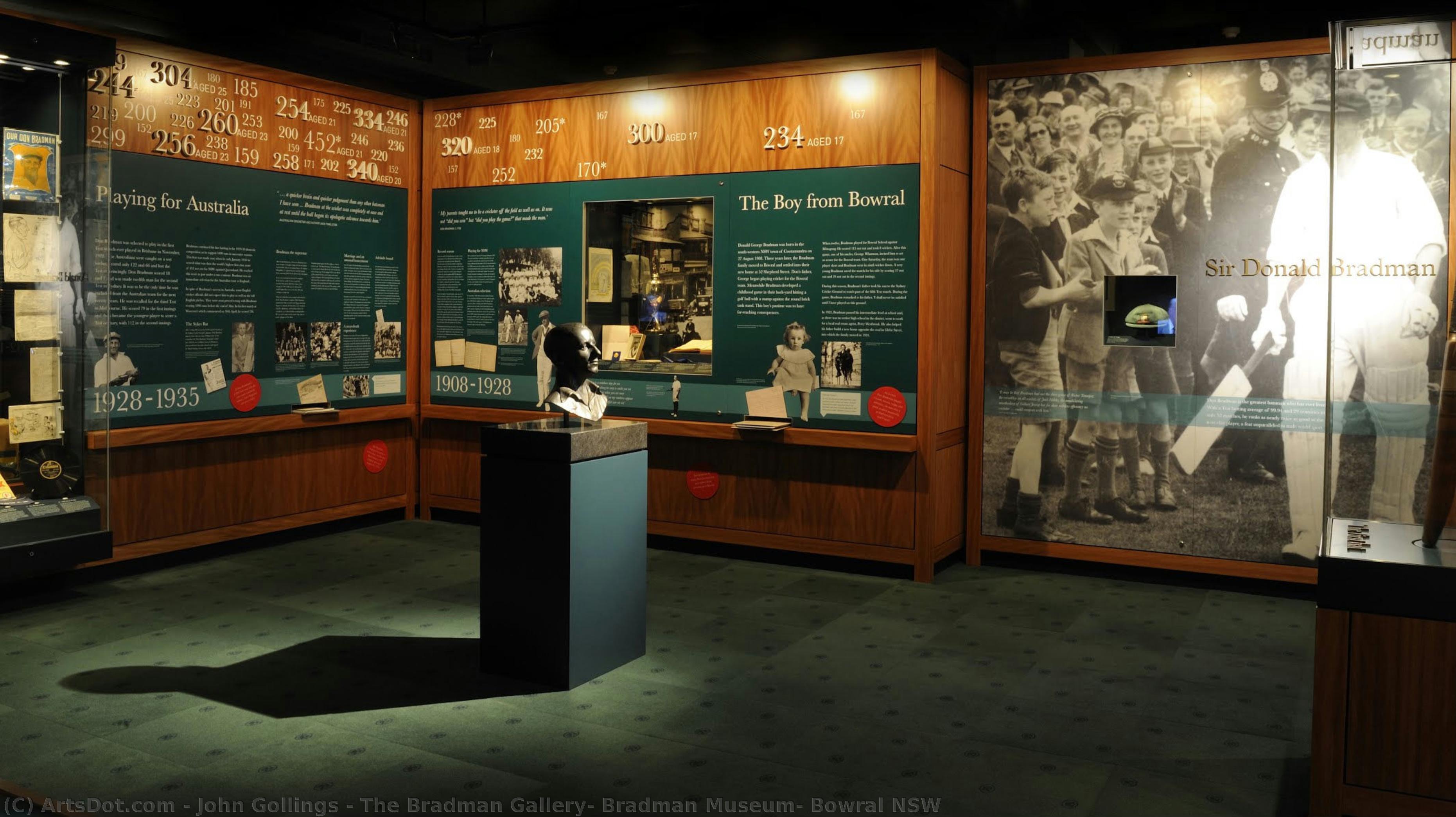 The Bradman Gallery, Bradman Museum, Bowral Nsw — John Gollings