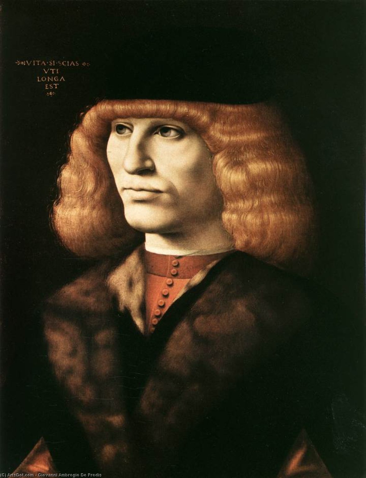 Portrait Of A Young Man — Giovanni Ambrogio De Predis