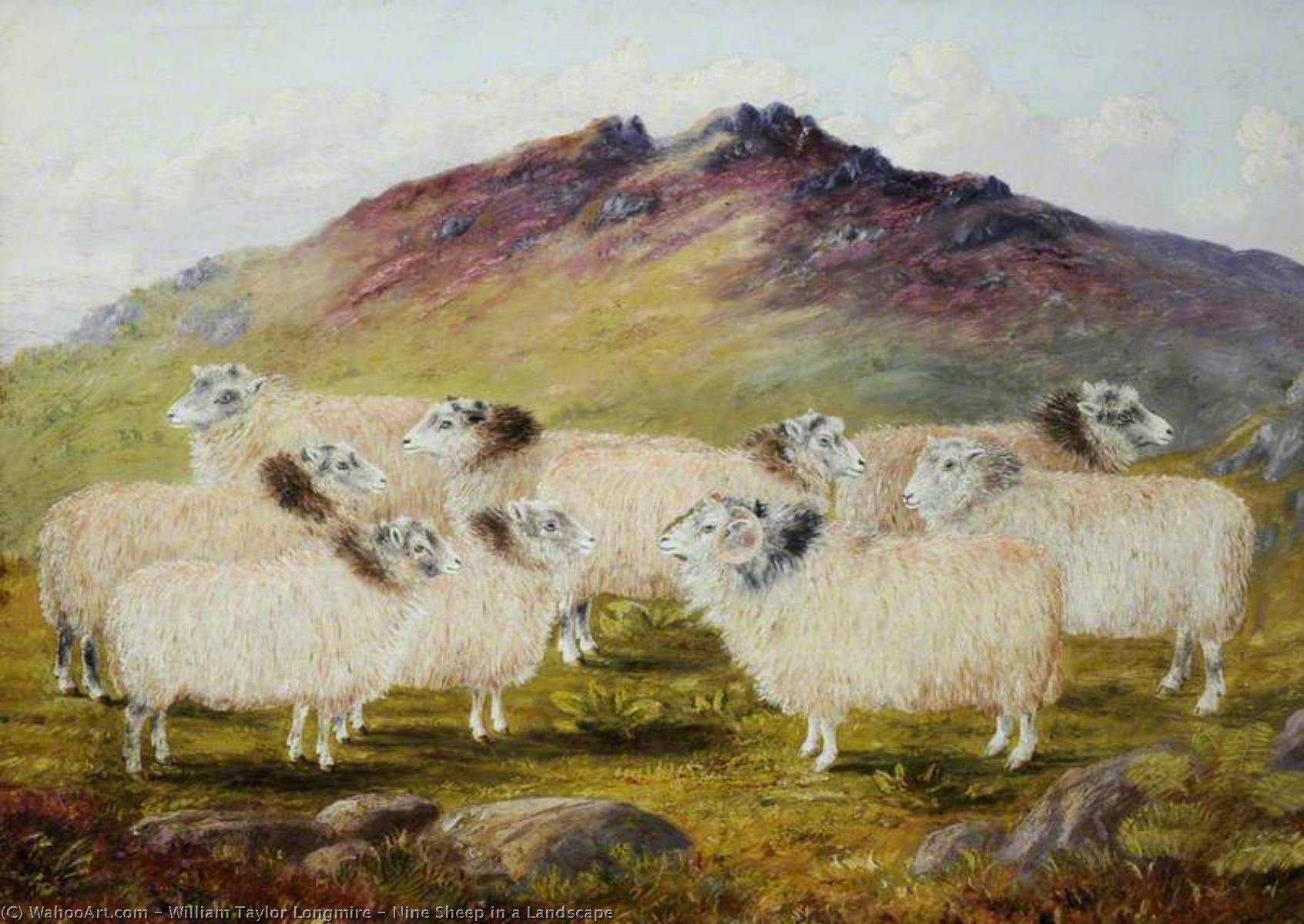 Nine Sheep In A Landscape — William Taylor Longmire