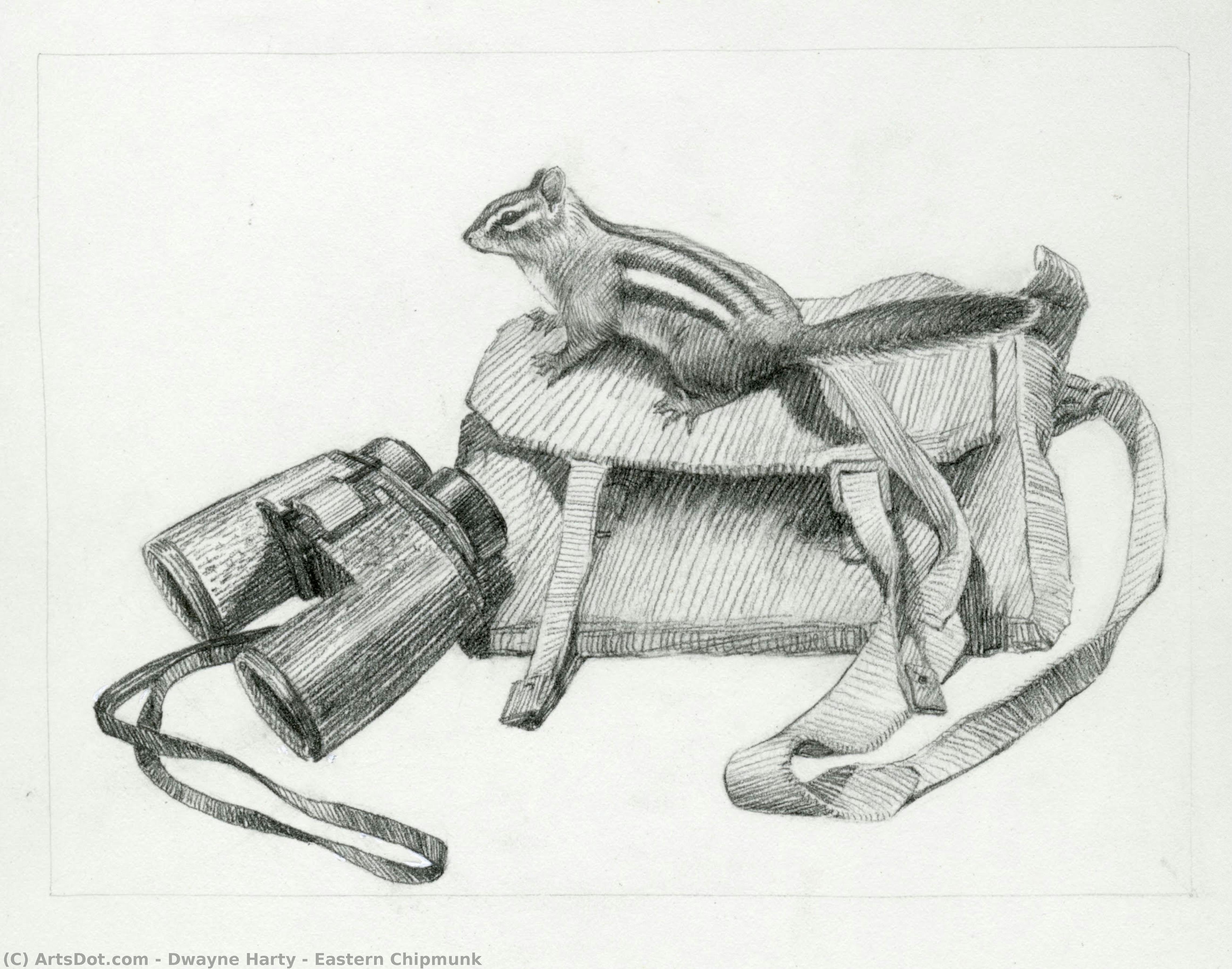 Eastern Chipmunk — Dwayne Harty