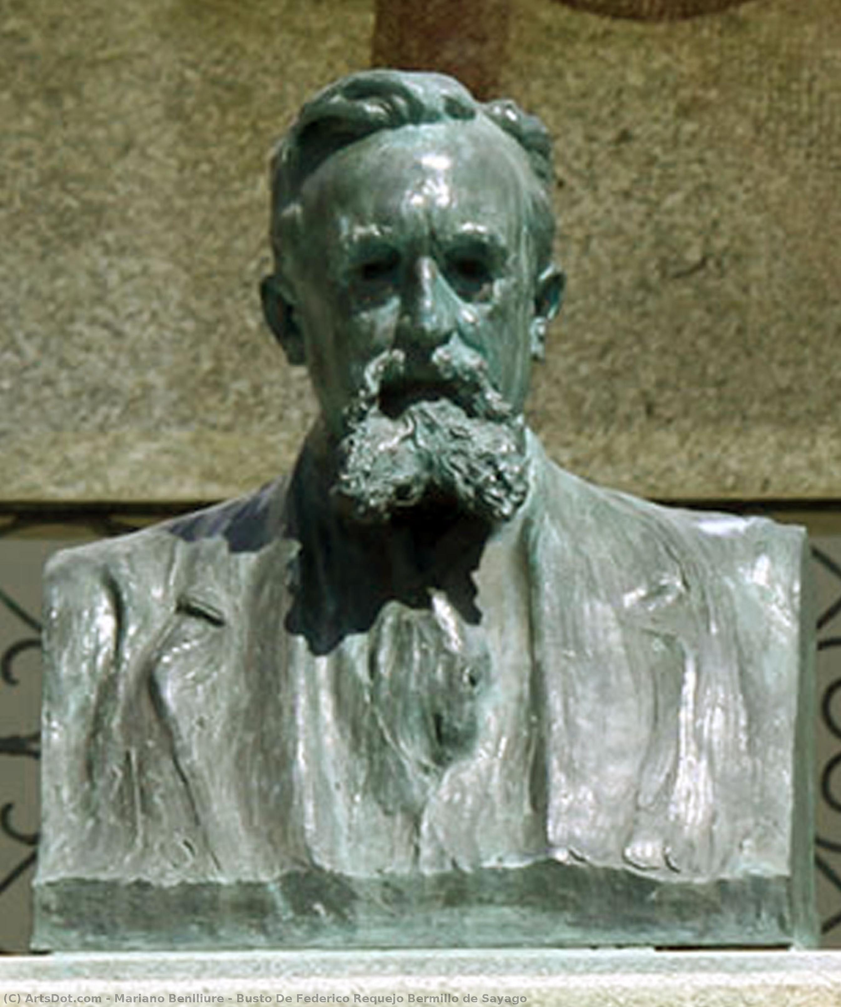 Busto De Federico Requejo Bermillo De Sayago — Мариано Бенллиуре И Гиль
