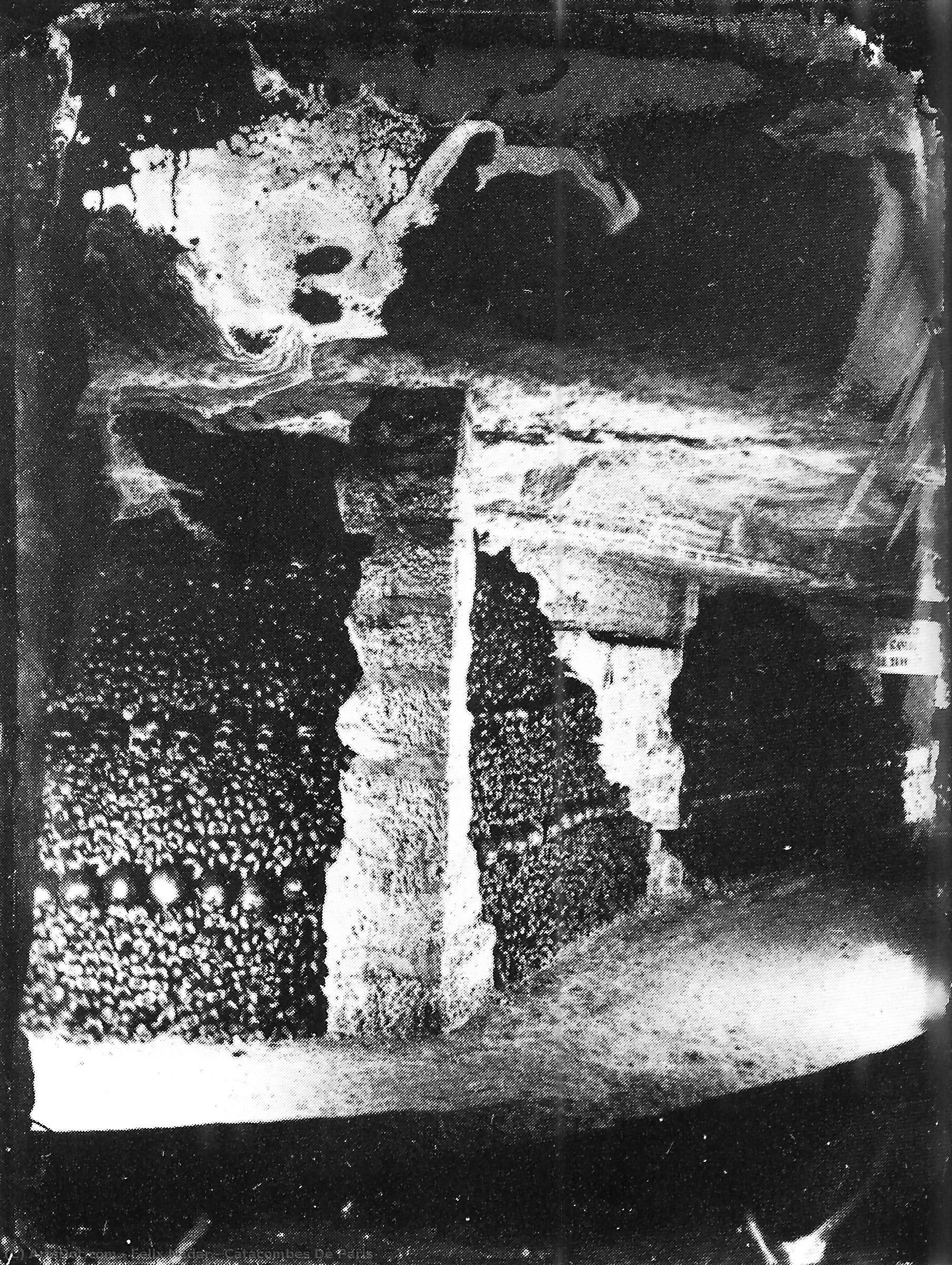 Catacombes De Paris — Félix Nadar