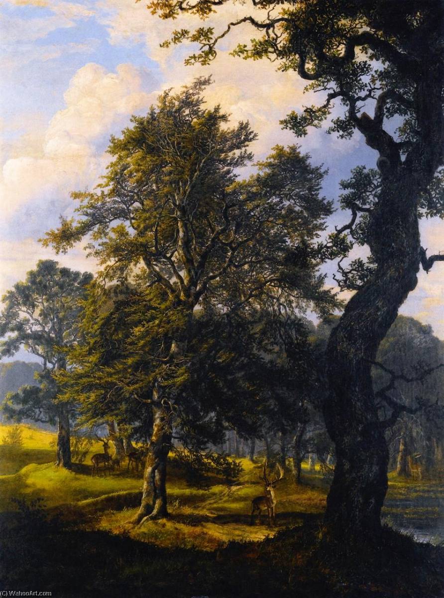 Dyrehaven Near Copenhagen — Johan Christian Clausen Dahl