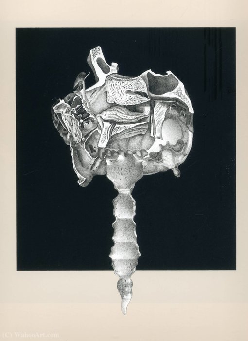 Untitled (556) — Frederick Sommer