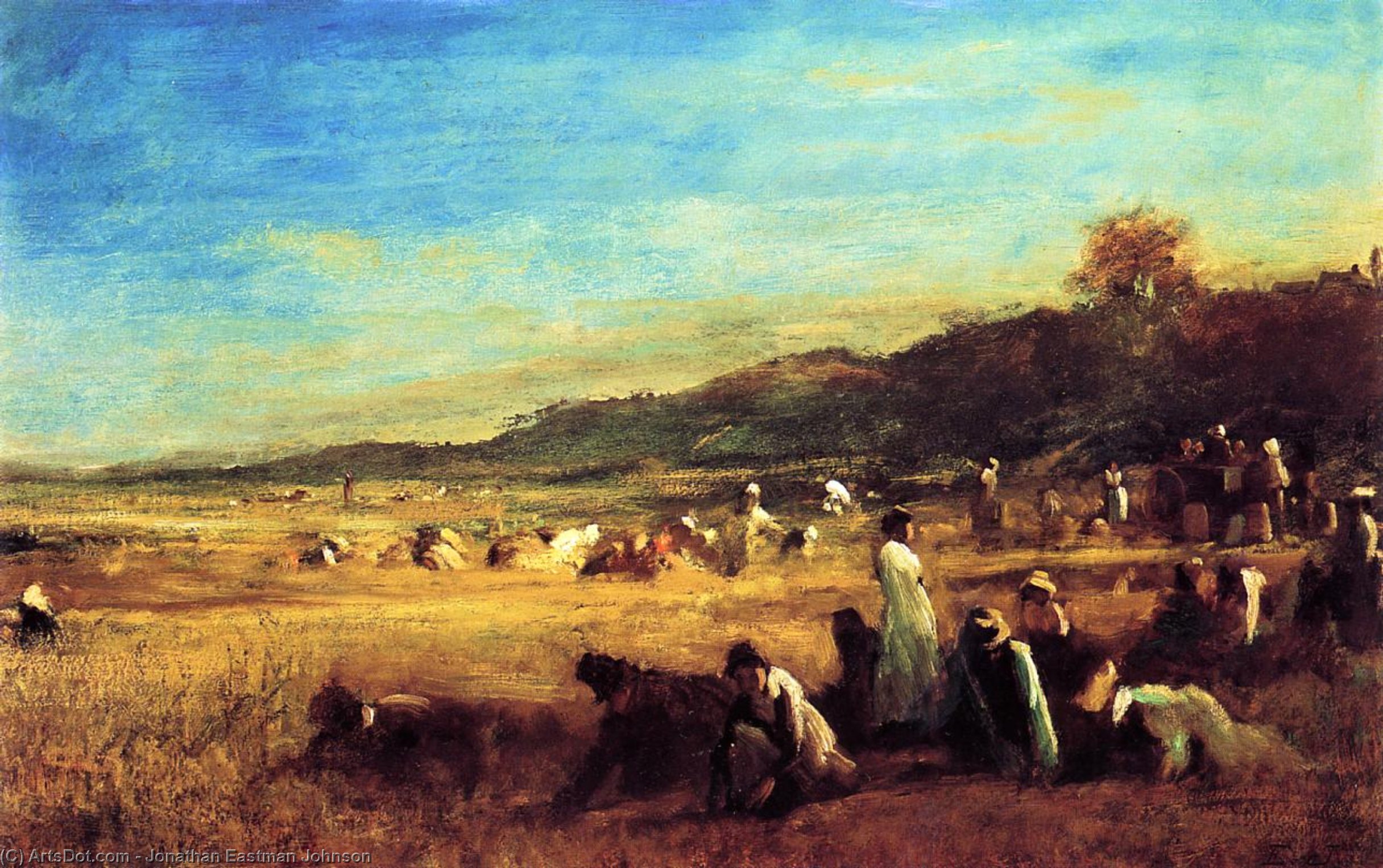 Study For 'the Cranberry Harvest, Island Of Nantucket' — Jonathan Eastman Johnson