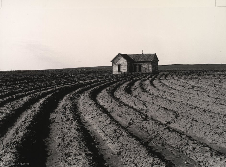 Tractored Out, Childress County, Texas — Dorothea Lange