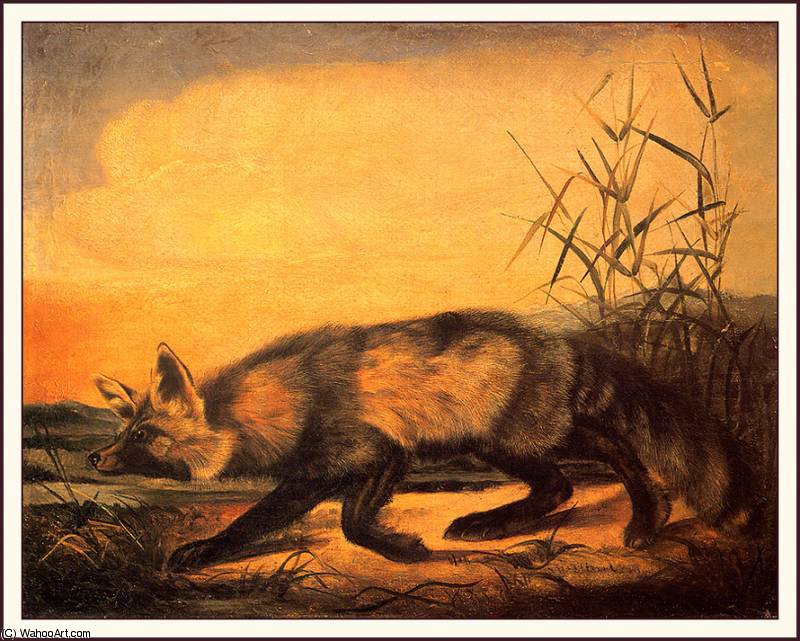 Jackal Fox — Джон Јејмс Одобон