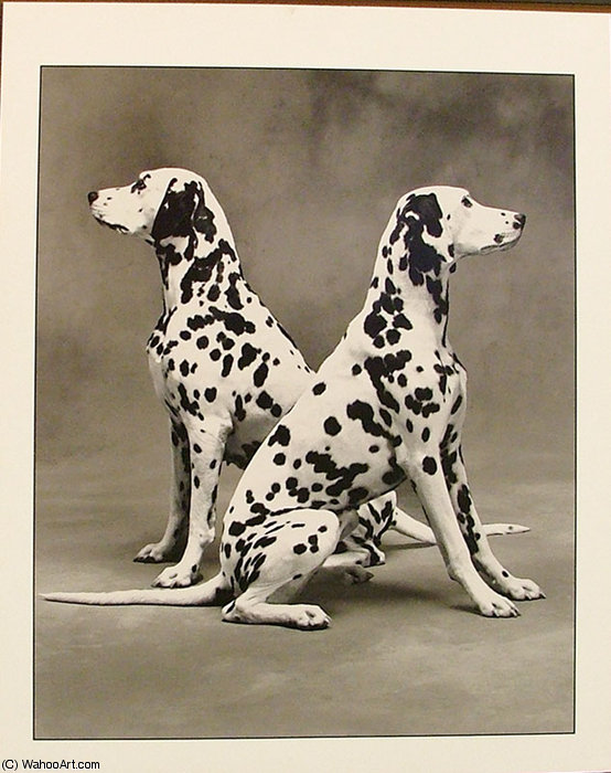 Twodalmations — Jesús Helguera