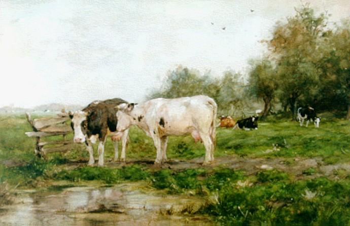 Cows In The Pasture — Adrianus Johannes Groenewegen