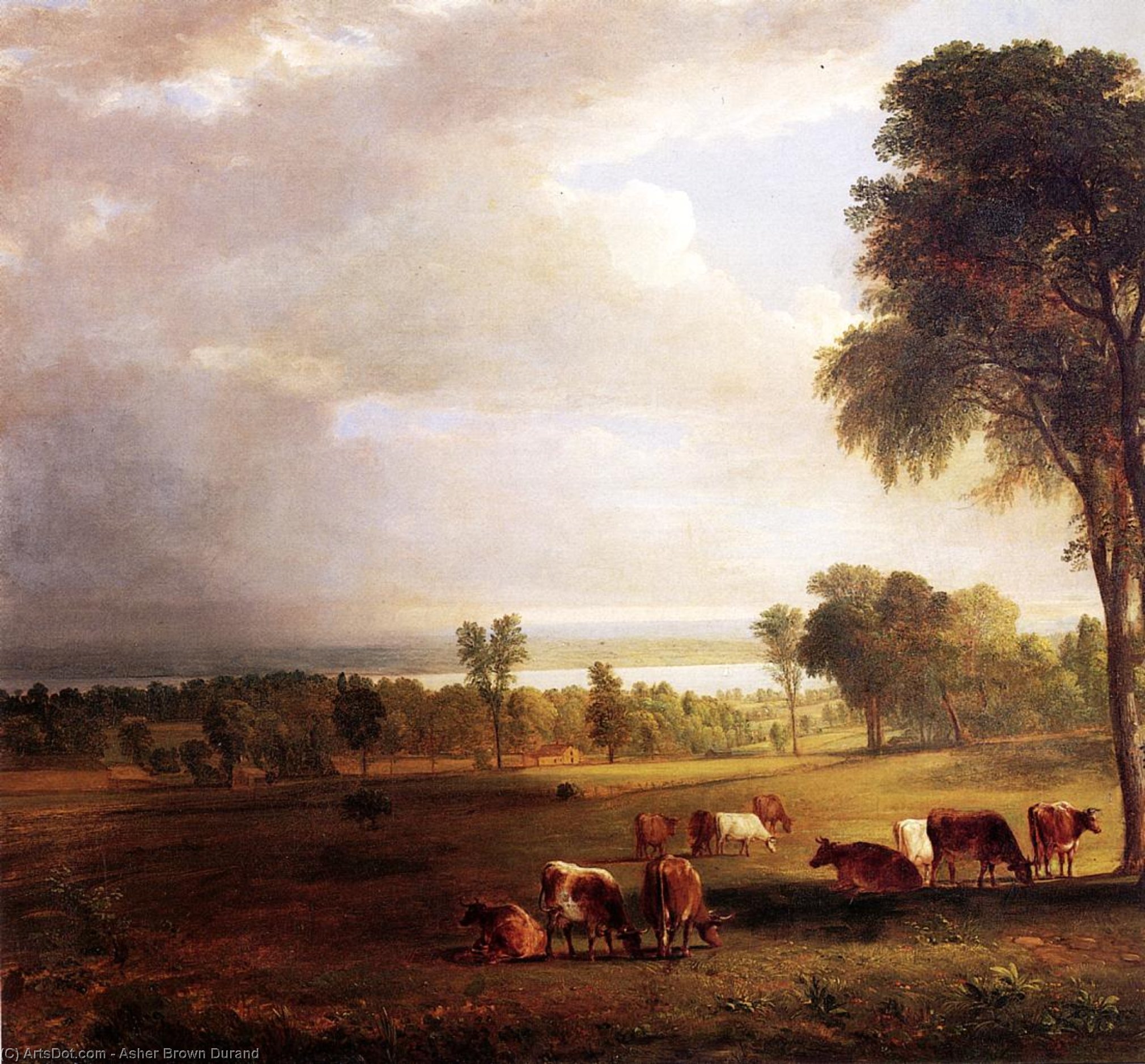 Gathering Storm — Ašer Braun Durand