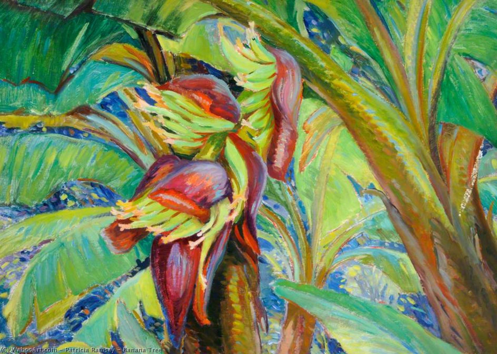 Banana Tree — Patricia Ramsay