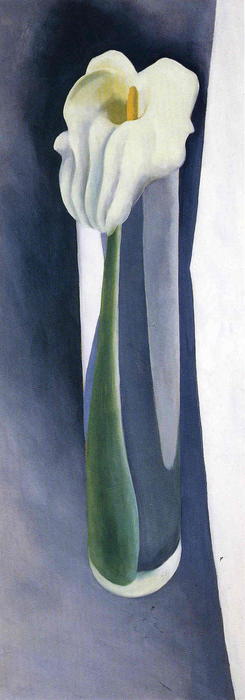 Calla Lily In Tall Glass — Georgia O'keeffe