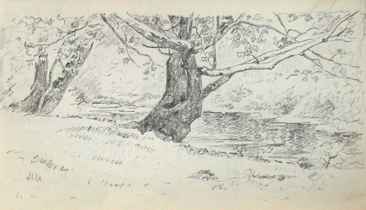Tree On Bank Of Stream — John Ottis Adams