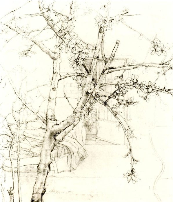 Untitled (583) — Antonio López García