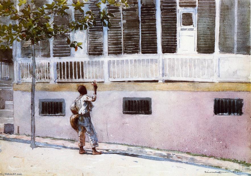 Fresh Flowers — Winslow Homer