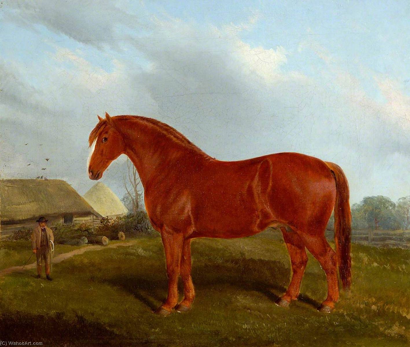 Unnamed Horse — John Duvall