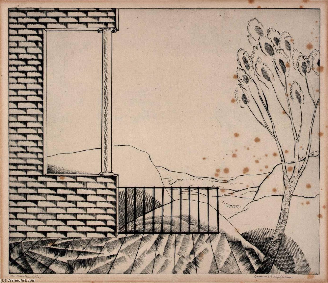 The Mountain Villa — Lawrence Kupferman