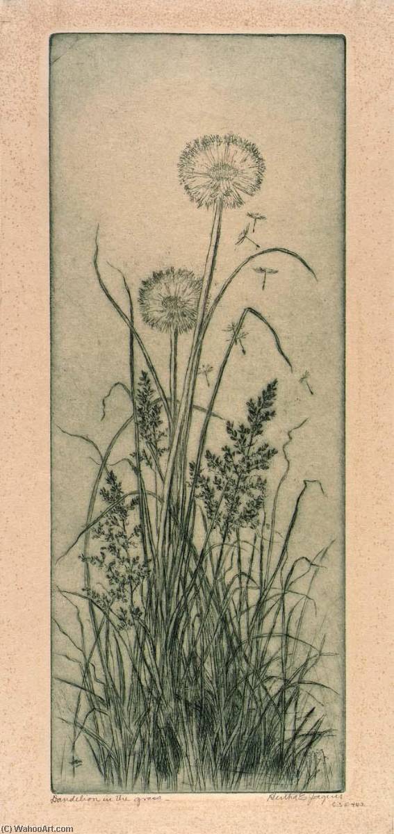 Dandelion In The Grass — Bertha Evelyn Jaques