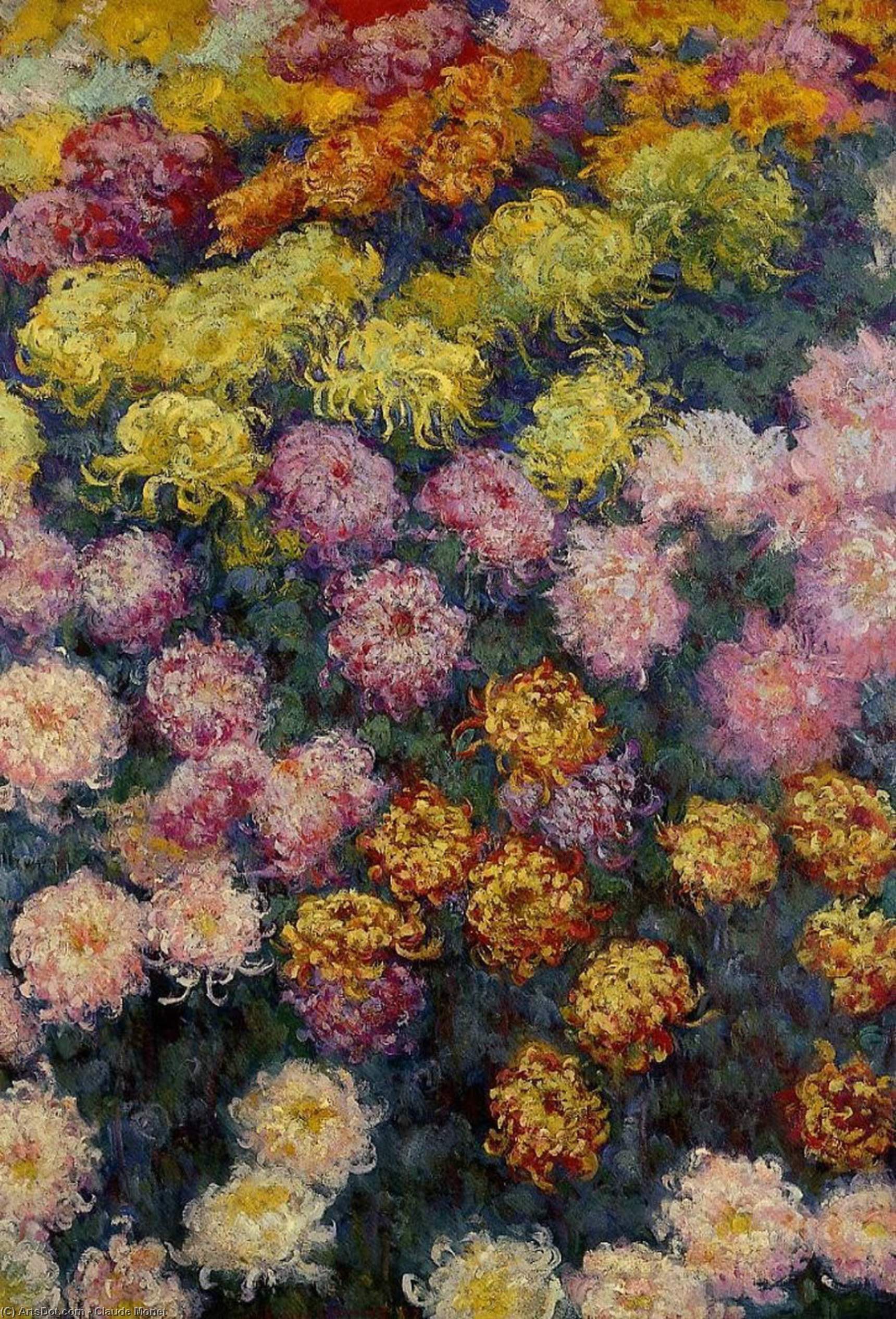 Bed Of Chrysanthemums — Клод Моне