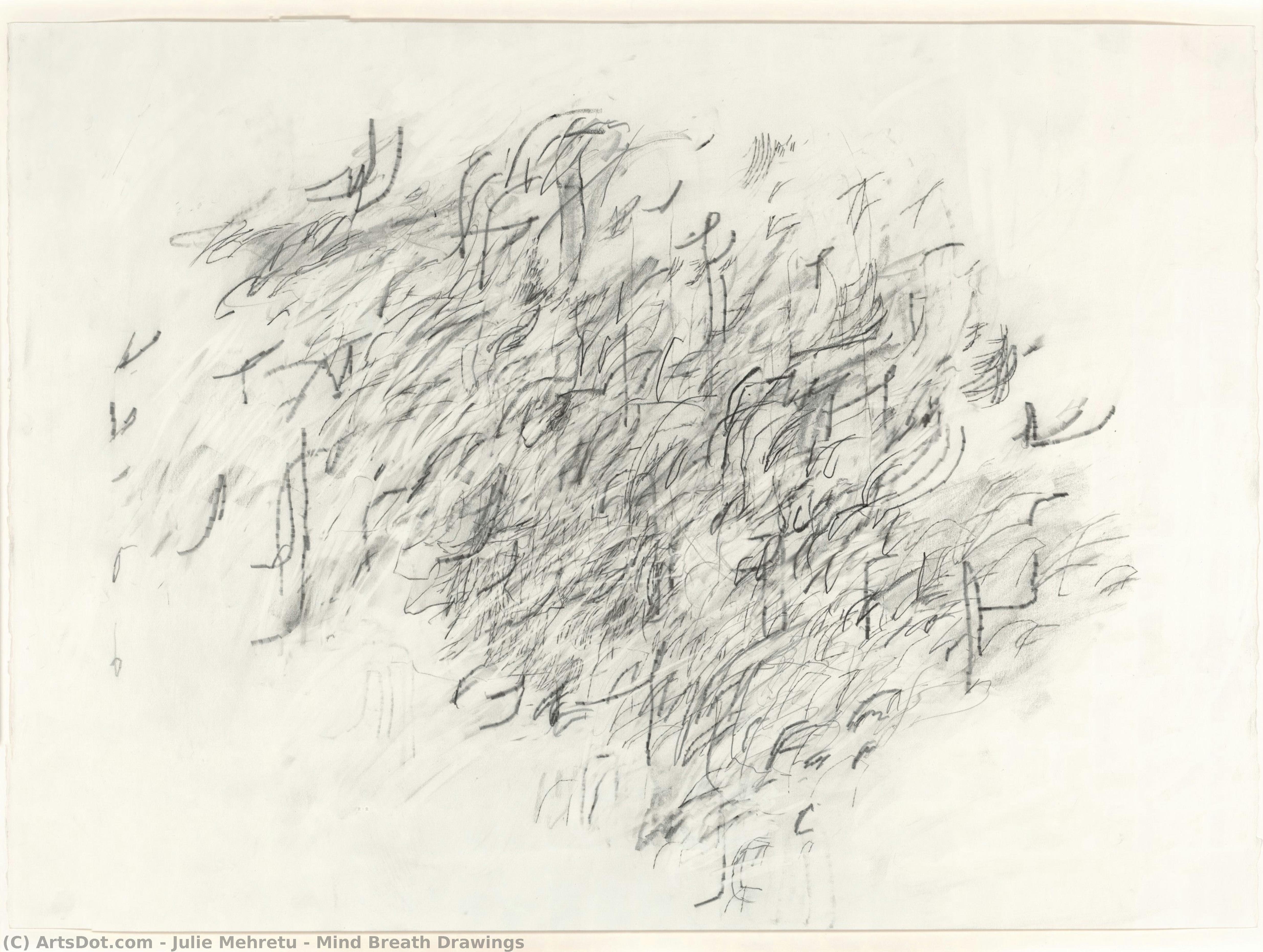 Mind Breath Drawings — Julie Mehretu