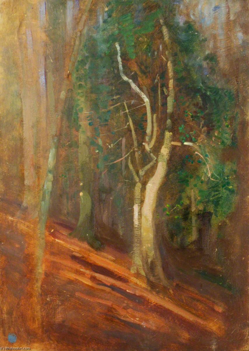 Trees In A Wood — Benjamin Haughton
