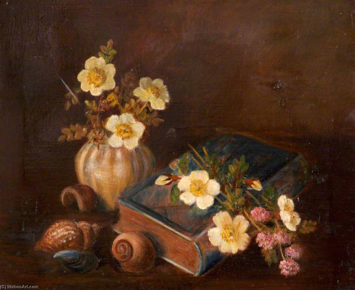 Still Life Of Shells And A Casket — Rosalie Chichester