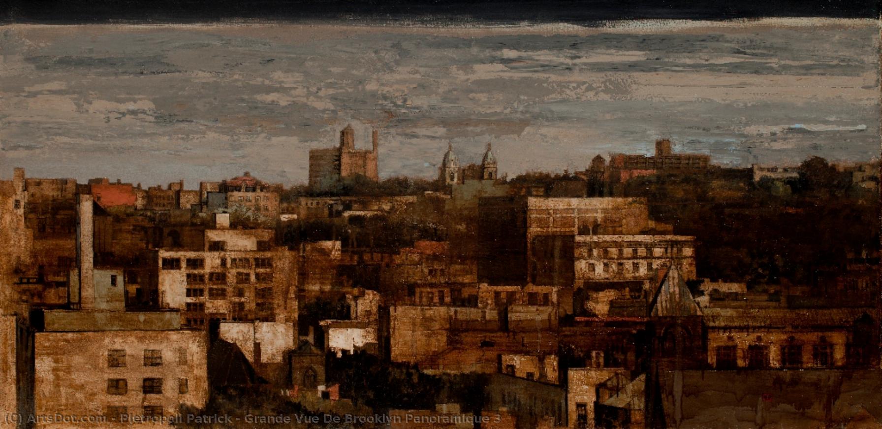 Grande Vue De Brooklyn Panoramique 3 — Pietropoli Patrick