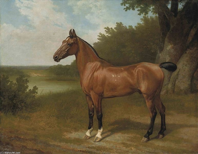 Lord Bingley's Hunter In A Wooded River Landscape — Jacques Laurent Agasse