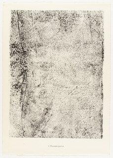 Rough Grained Path (chaussée Grenue) From The Portfolio Sites And Paths (sites Et Chaussées) From Phenomena (les Phénomènes) — Jean Philippe Arthur Dubuffet