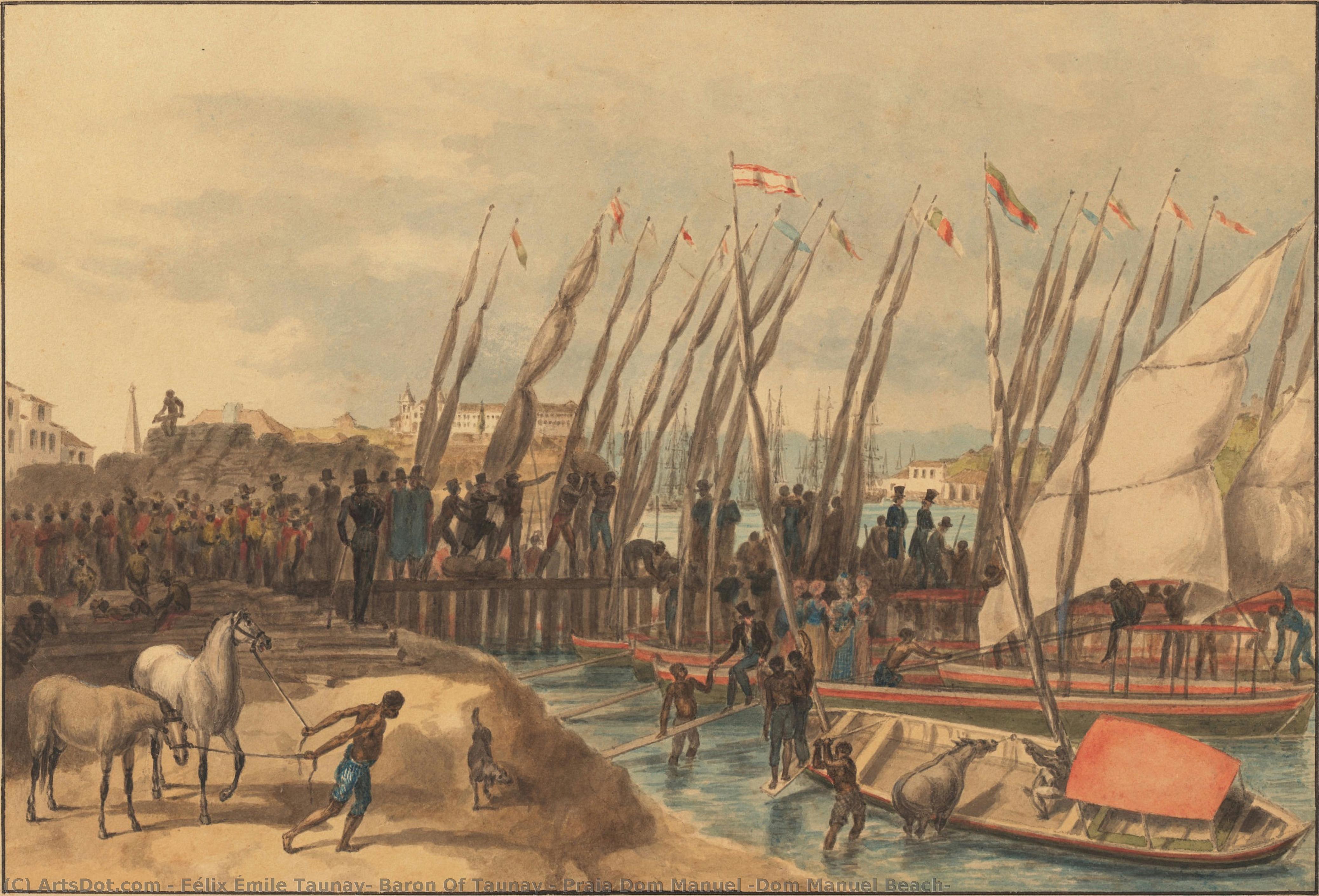 Praia Dom Manuel [dom Manuel Beach] — Félix Émile Taunay, Baron Of Taunay