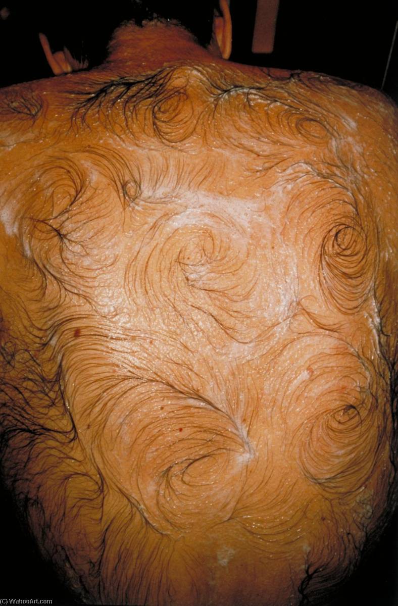 Van Gogh’s Back — Mona Hatoum