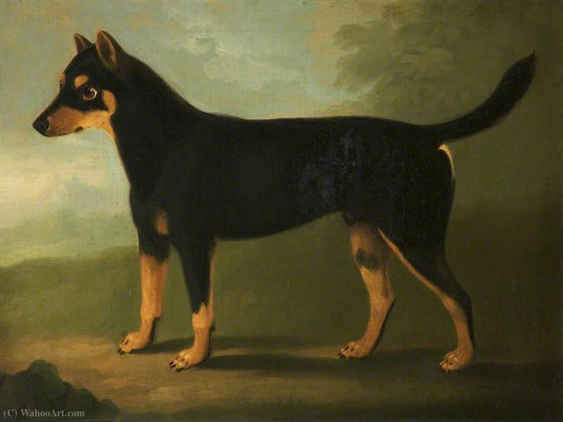 A Dog With Dark Tan And Pale Tan Markings With A Mask-like Marking On Its Face, In A Landscape — Daniel Clowes