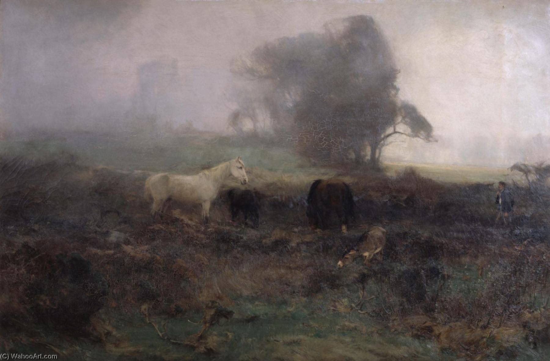 In A Fog — David Farquharson