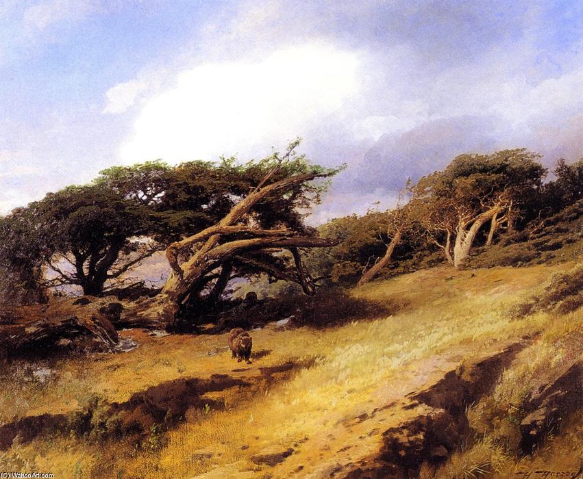 Monterey Pines With Bears — Herman Herzog