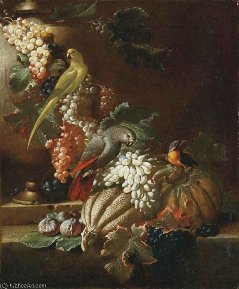 Tralci Di Vite Con Frutta E Pappagalli — Jacob Van Der (giacomo Da Castello) Kerckhoven
