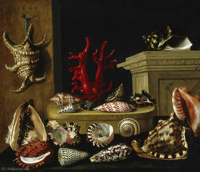 Still Life With Shells And Coral — Jacques Linard