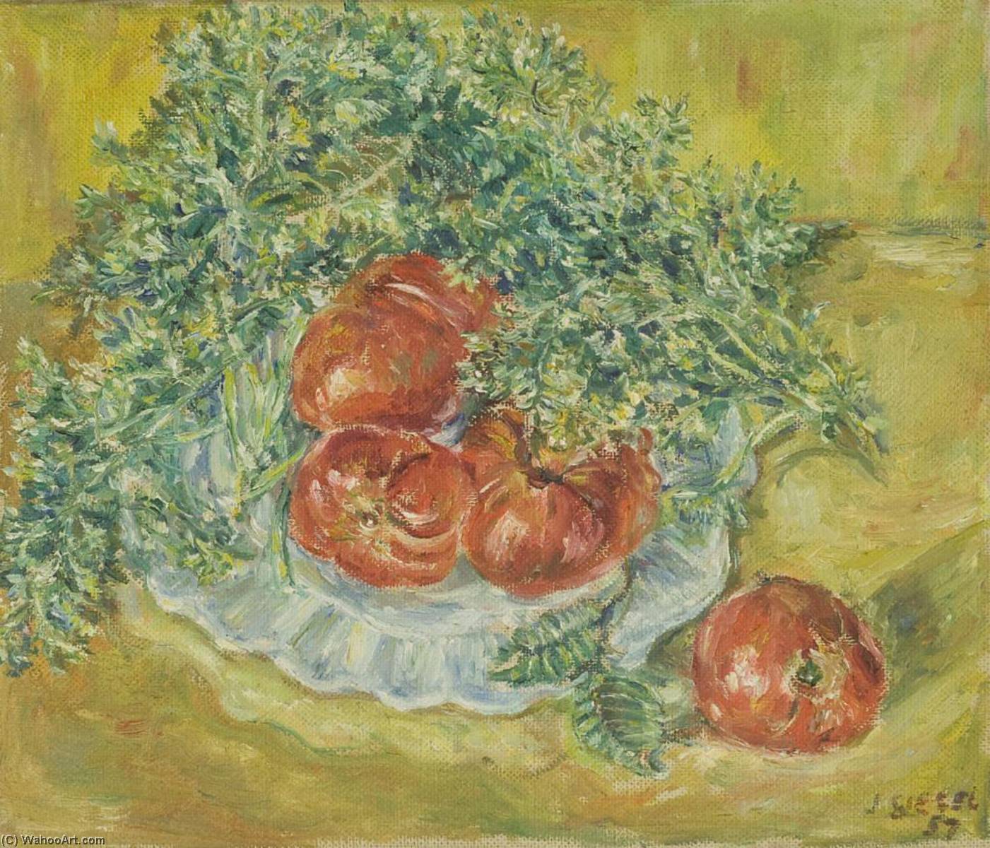 Tomatoes — Jack Siegel