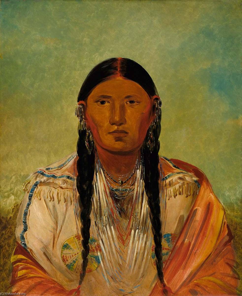Ru Ton Wee Me, Pigeon On The Wing — George Catlin