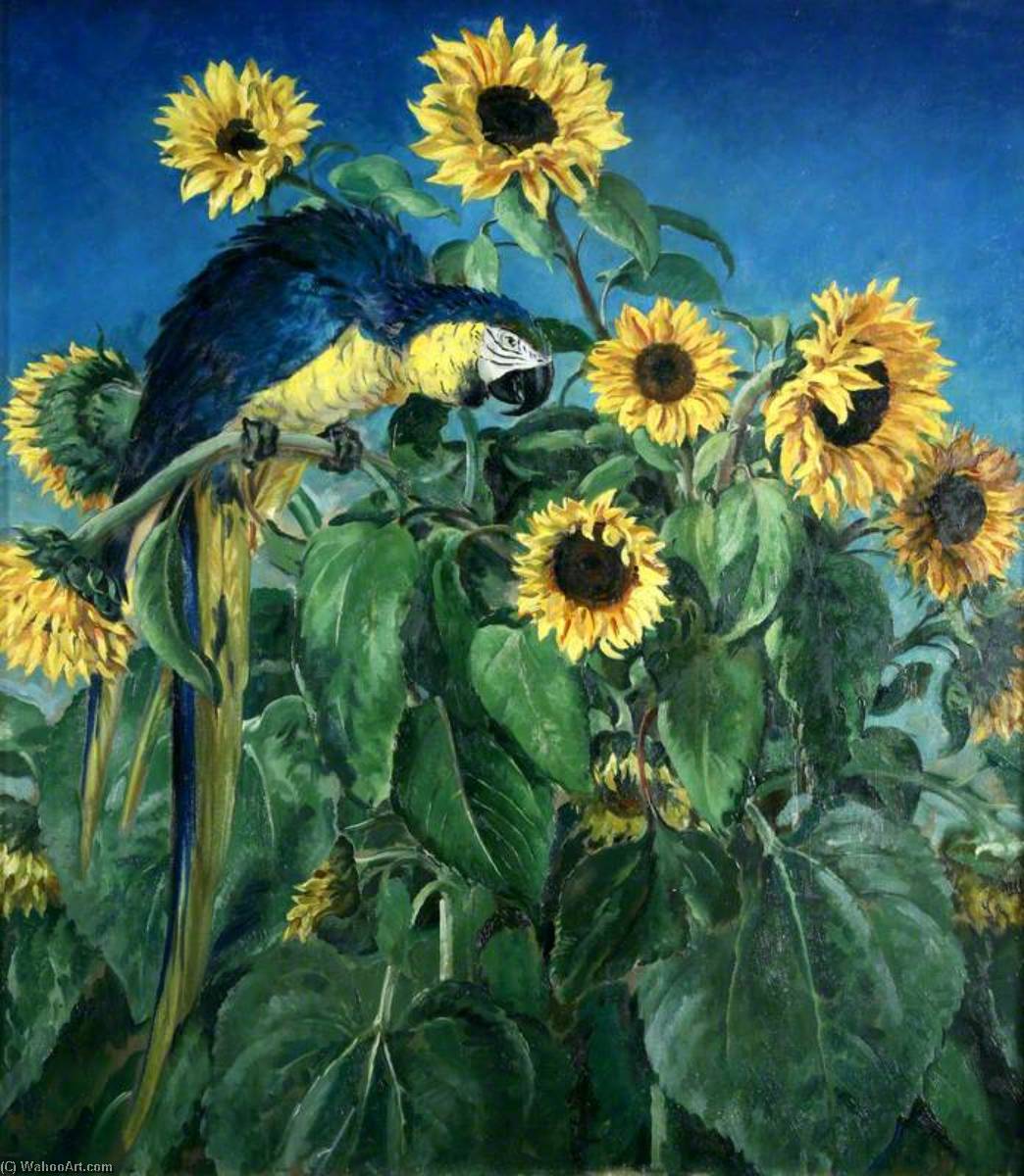 Macaw And Sunflowers — William Bruce Ellis Ranken