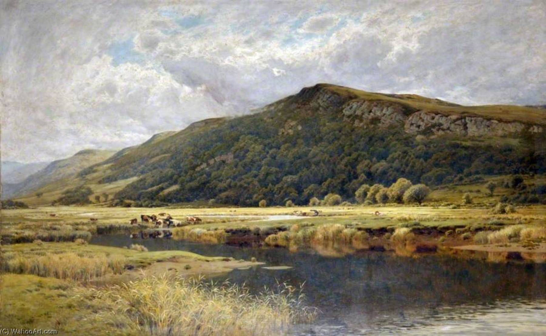 Nature's Mirror — Peter Ghent