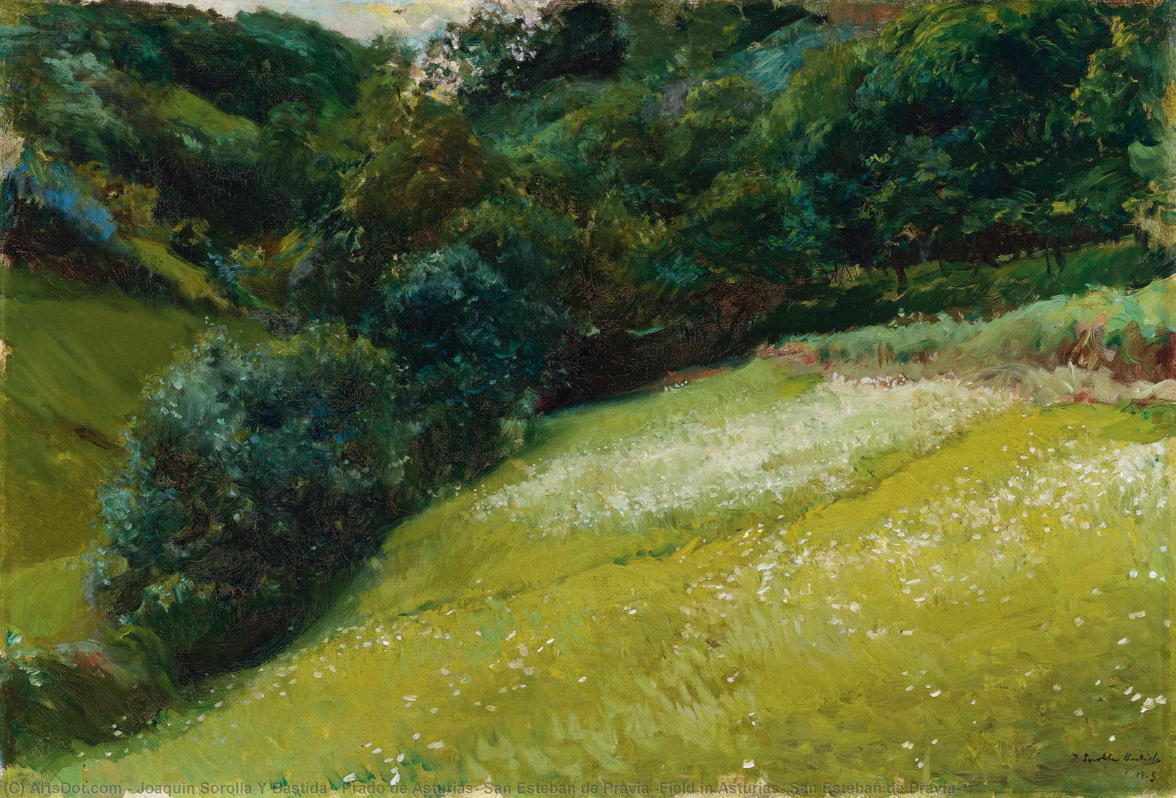 Prado De Asturias, San Esteban De Pravia (feld In Asturien, San Esteban De Pravia) — Joaquín Sorolla Y Bastida