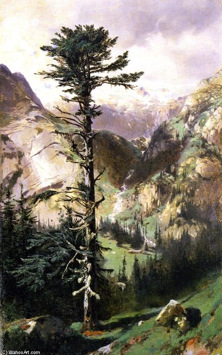 Rocky Path — Александр Калам