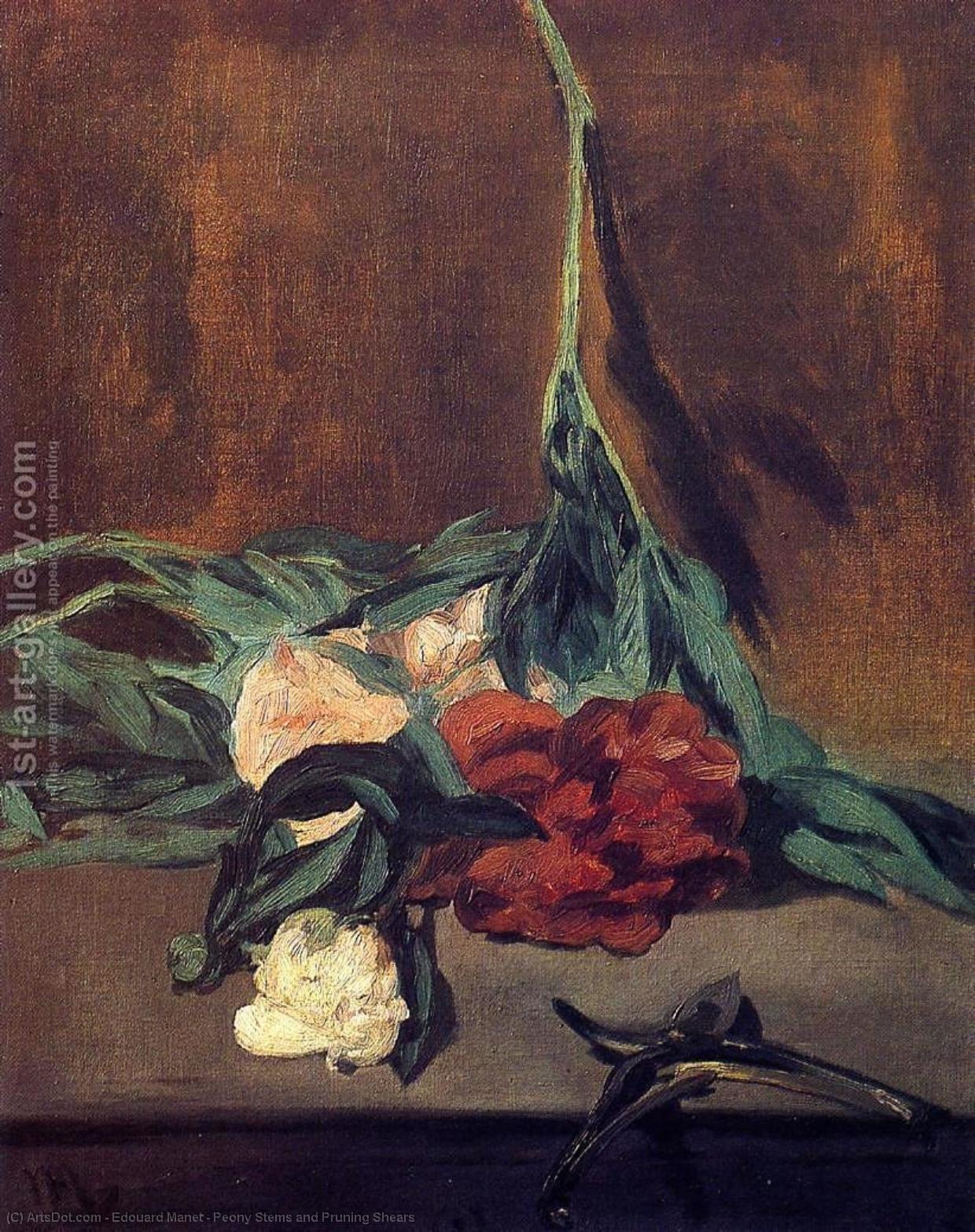 Peony Stems And Pruning Shears — Мане