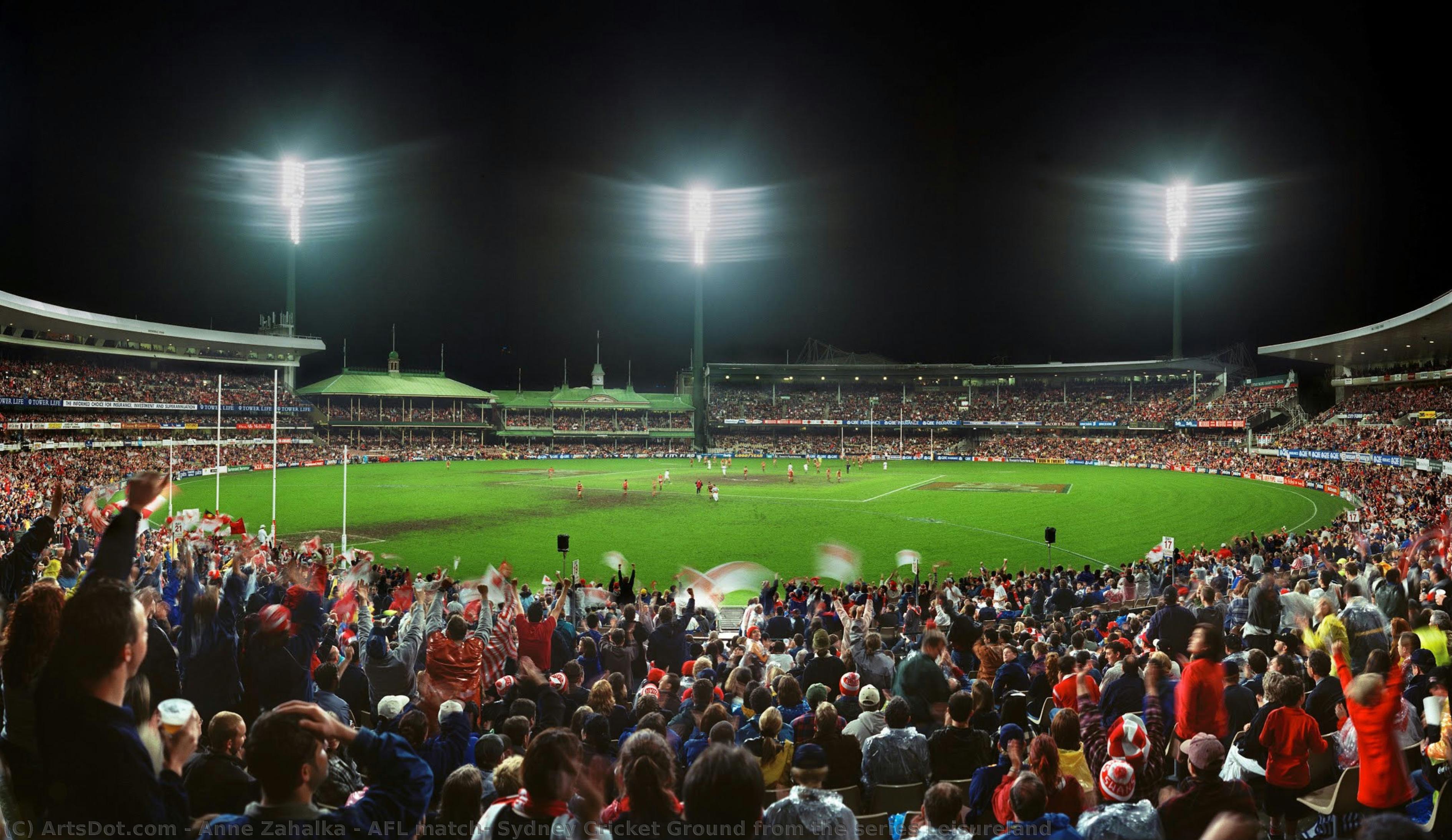 Afl Match, Sydney Cricket Ground From The Series Leisureland — Anne Zahalka