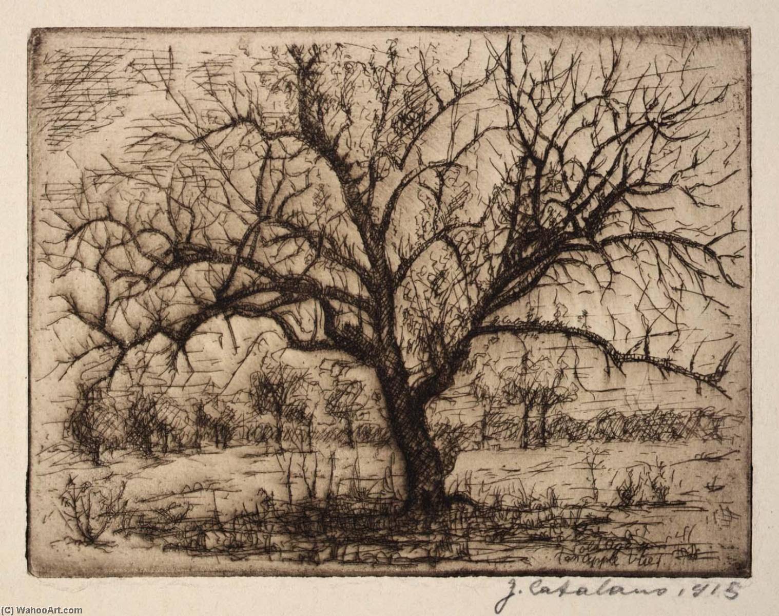 Dying Apple Tree — Guiseppe Catalano