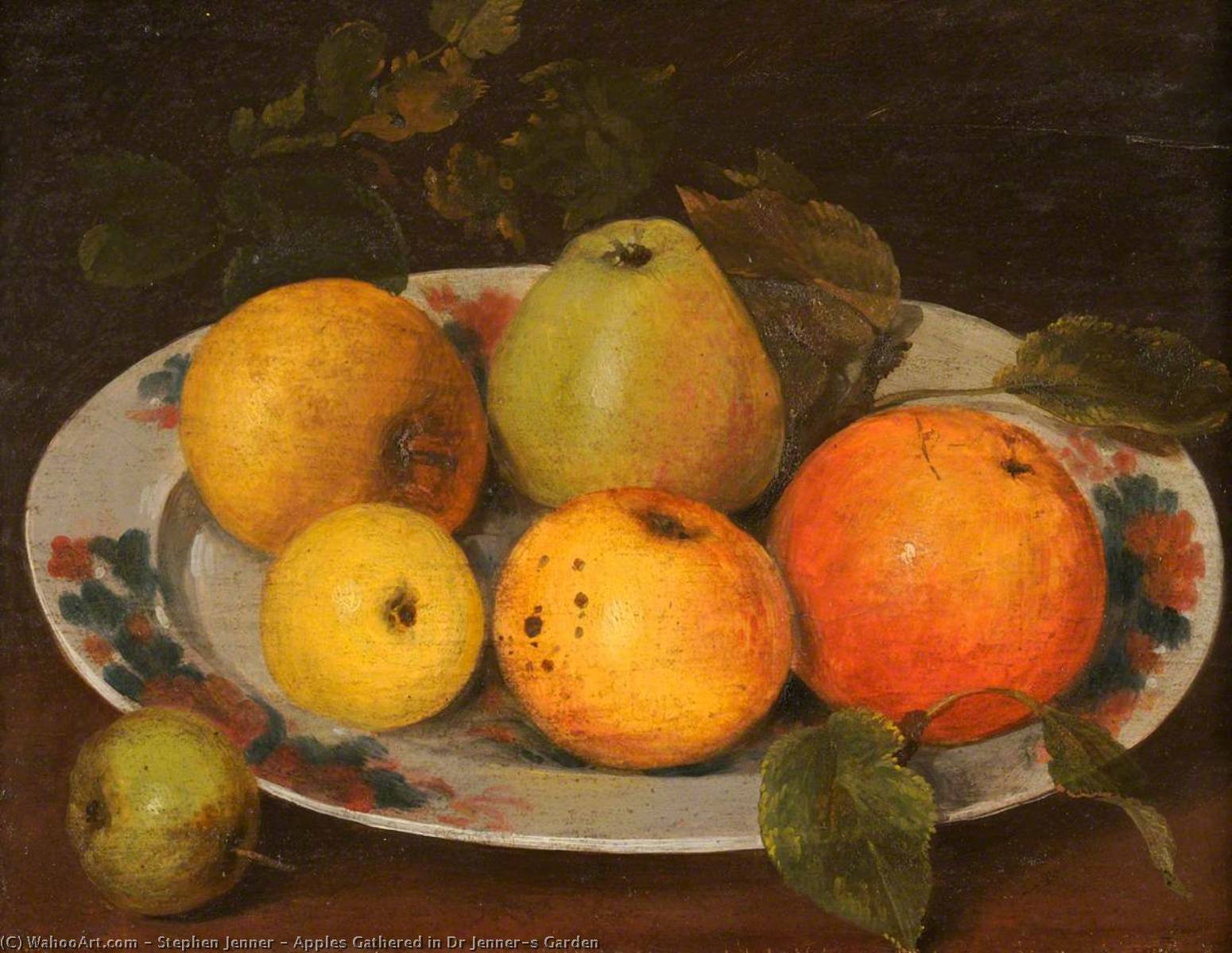 Apples Gathered In Dr Jenner's Garden — Stephen Jenner