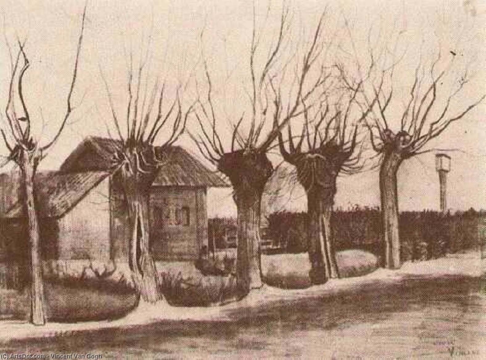Small House On A Road With Pollard Willows — Vincent Willem Van Gogh