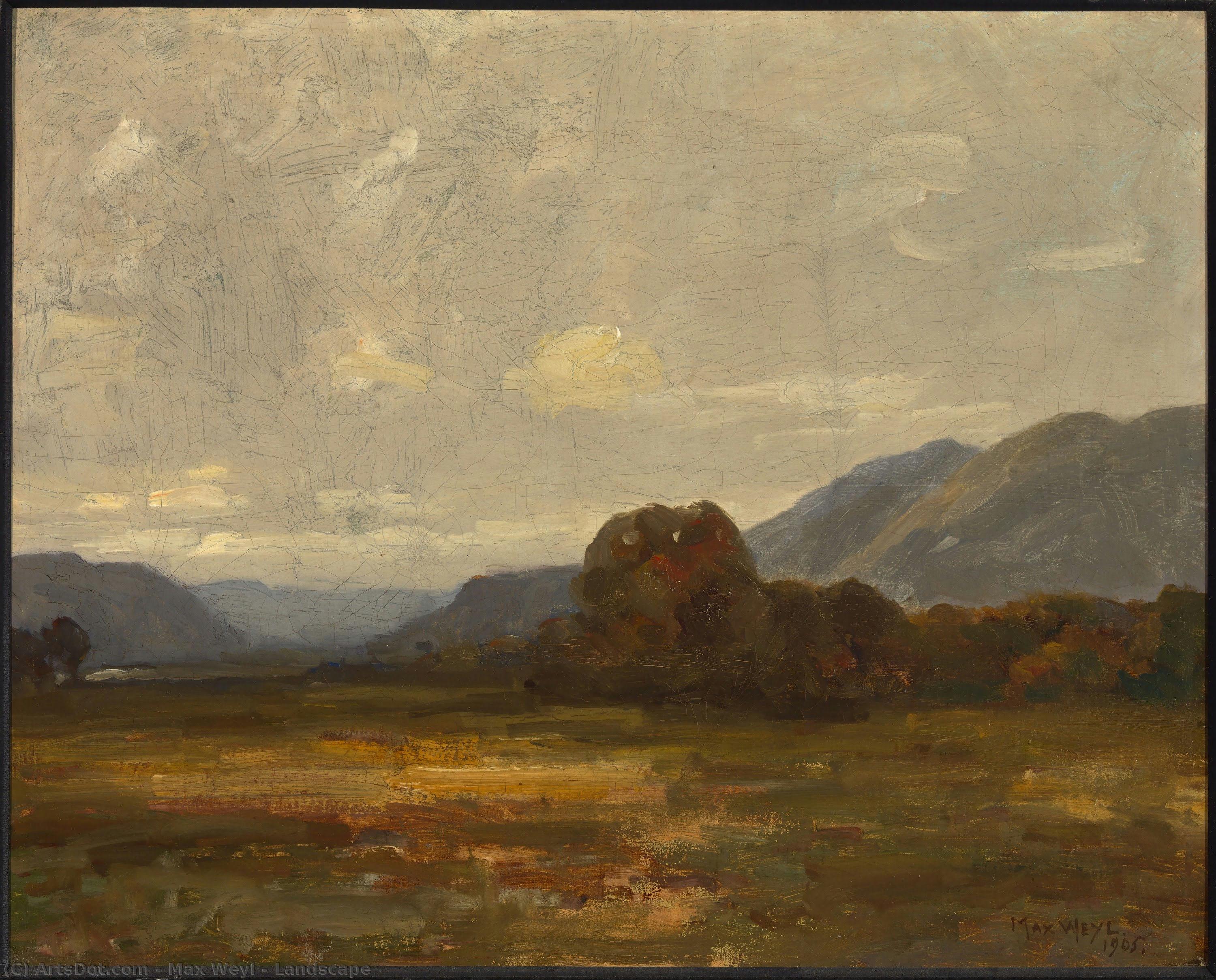 Landscape — Max Weyl