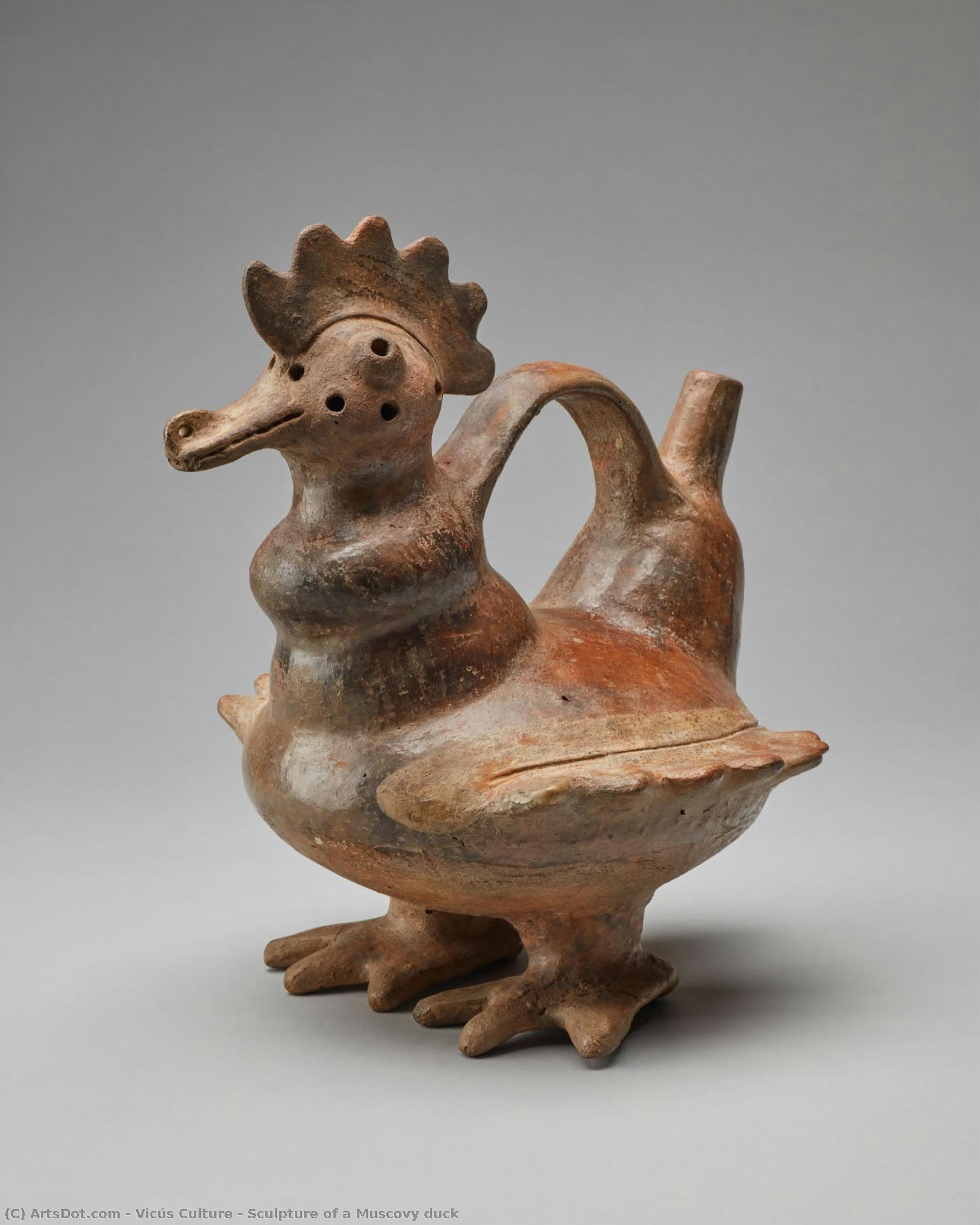 Sculpture Of A Muscovy Duck — Vicús Culture